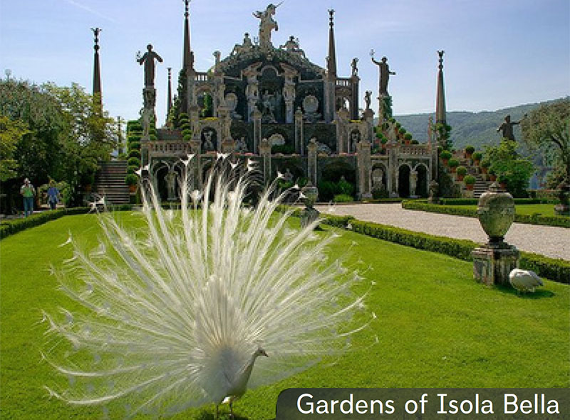 Isola Bella Gardens small group tours Italy