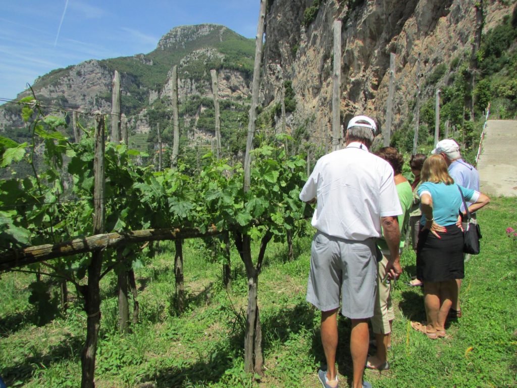 Amalfi Coast Tour